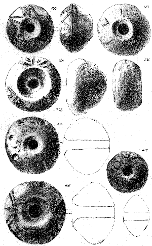 Symbols from Ancient Troy